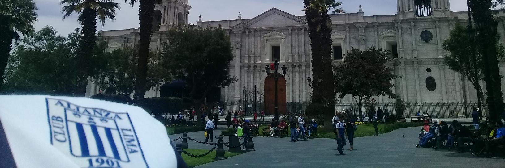 eleegeve's profile banner image