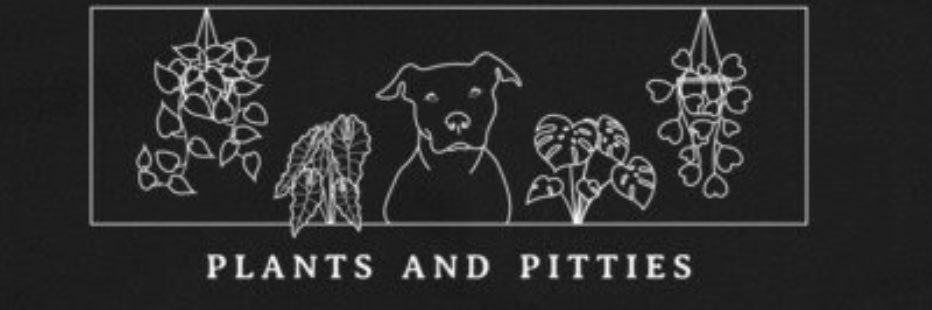 Lex banner