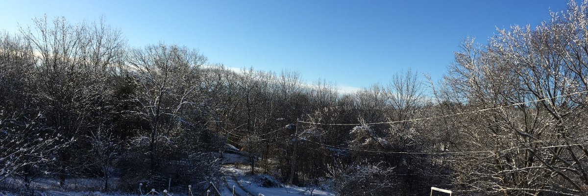 AcesCounselor's profile banner image