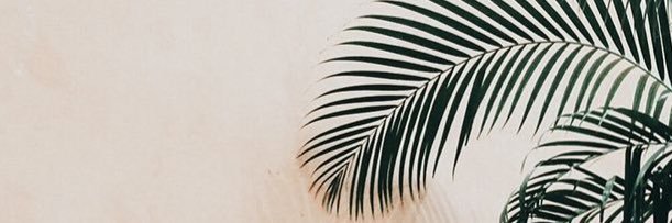So_Dream15's profile banner image