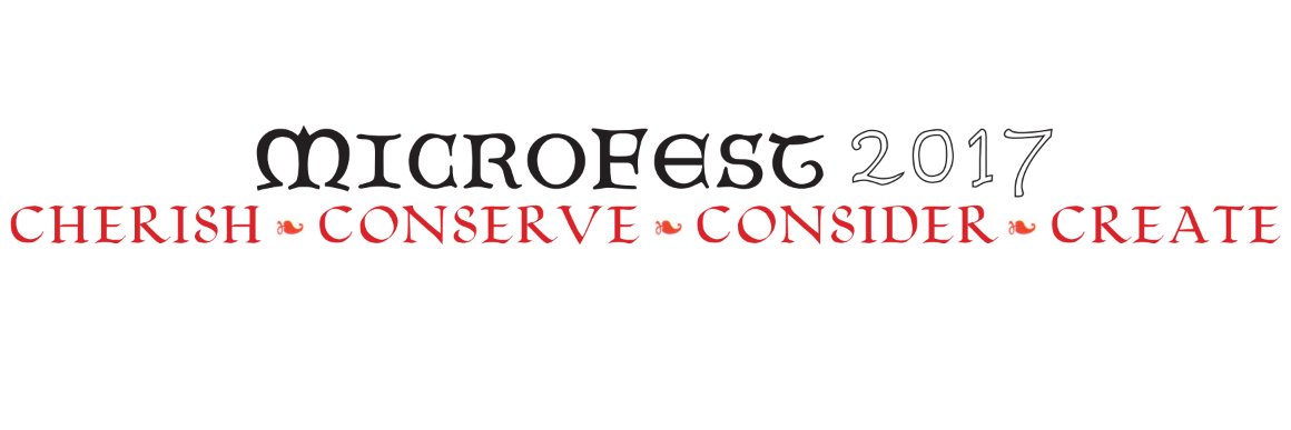 MicroFest banner