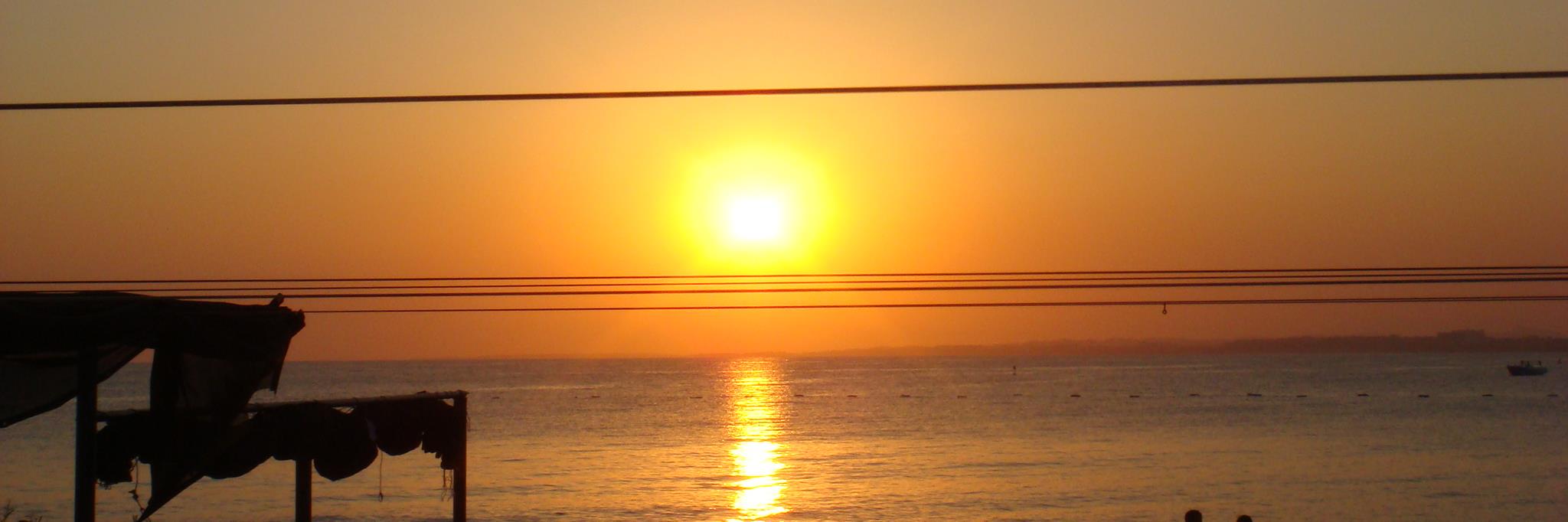 tm_west's profile banner image
