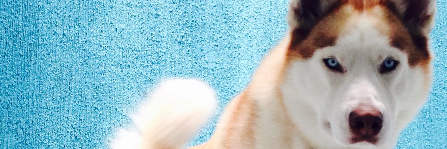 Vi_2991's profile banner image