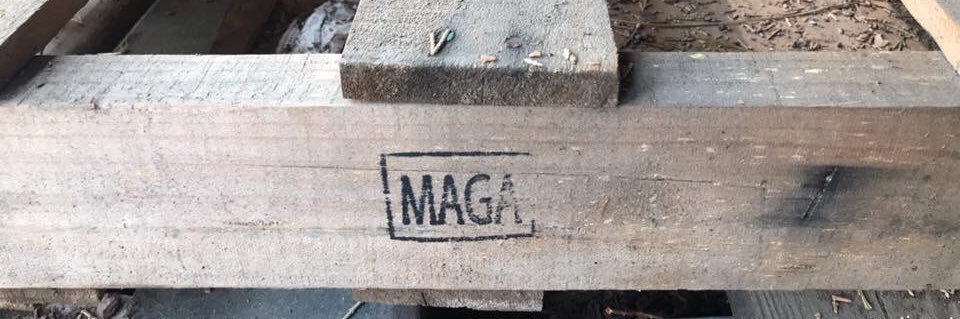 Diggs banner
