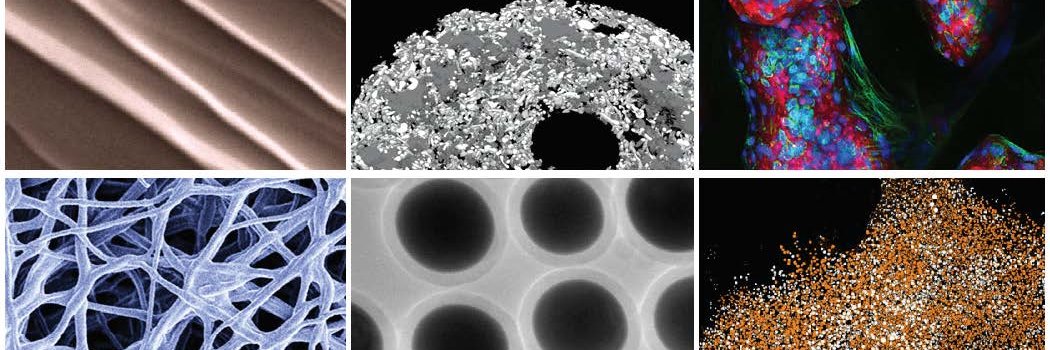 Chemical Engineering at Northeastern University banner