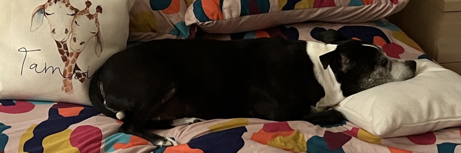 🦒Tamsin🦒 banner