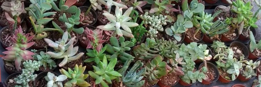 andycano91's profile banner image