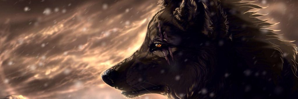 moisesraull's profile banner image