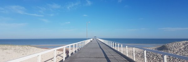 StepVieh Profile Banner