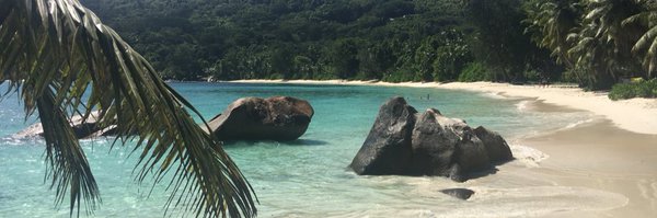 georgi_king Profile Banner