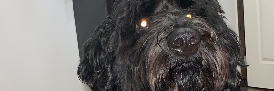 KStelski's profile banner image