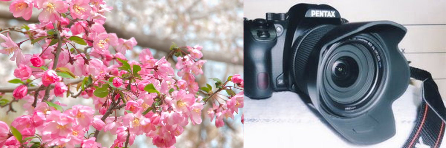 高村光一's banner