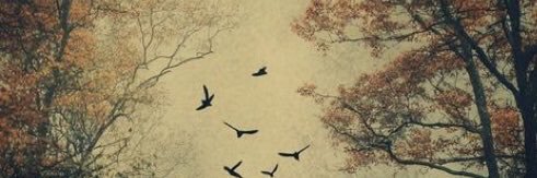 anfal_u0's profile banner image