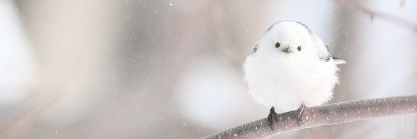 kam0308 Profile Banner