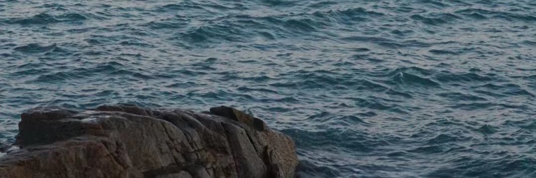 his_pert's profile banner image