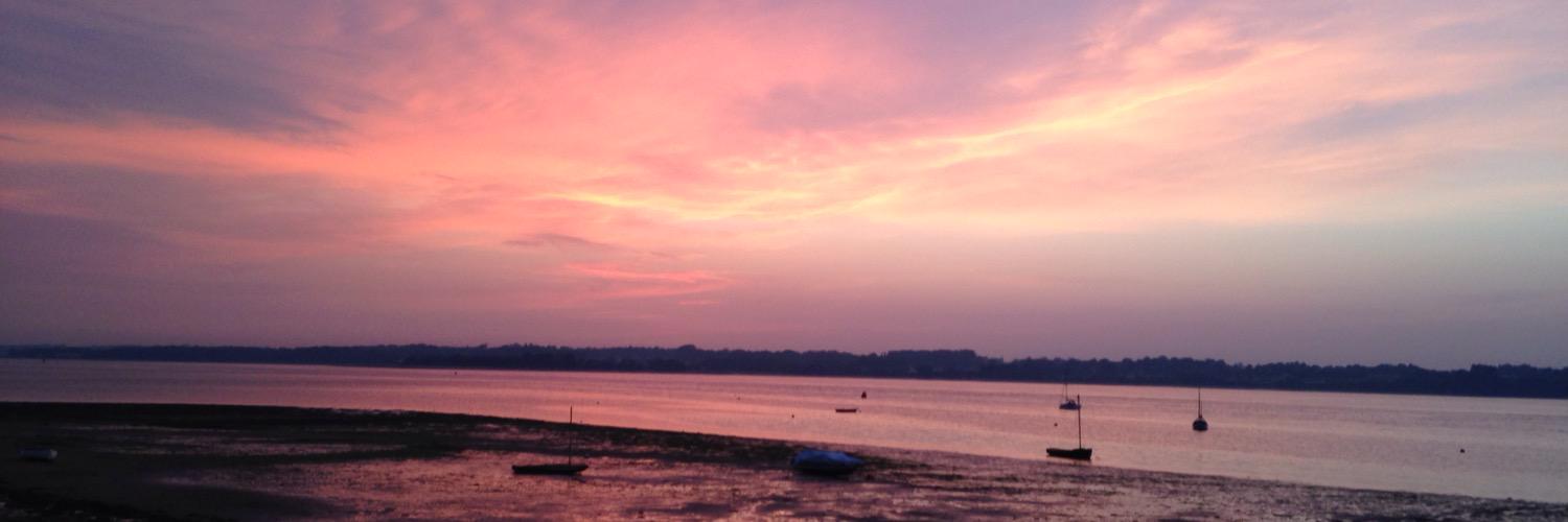 Helen Williamson banner