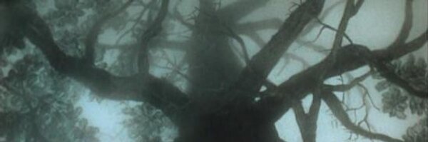 echeipesh Profile Banner