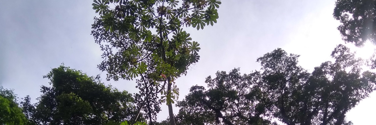AgathaEnsa's profile banner image