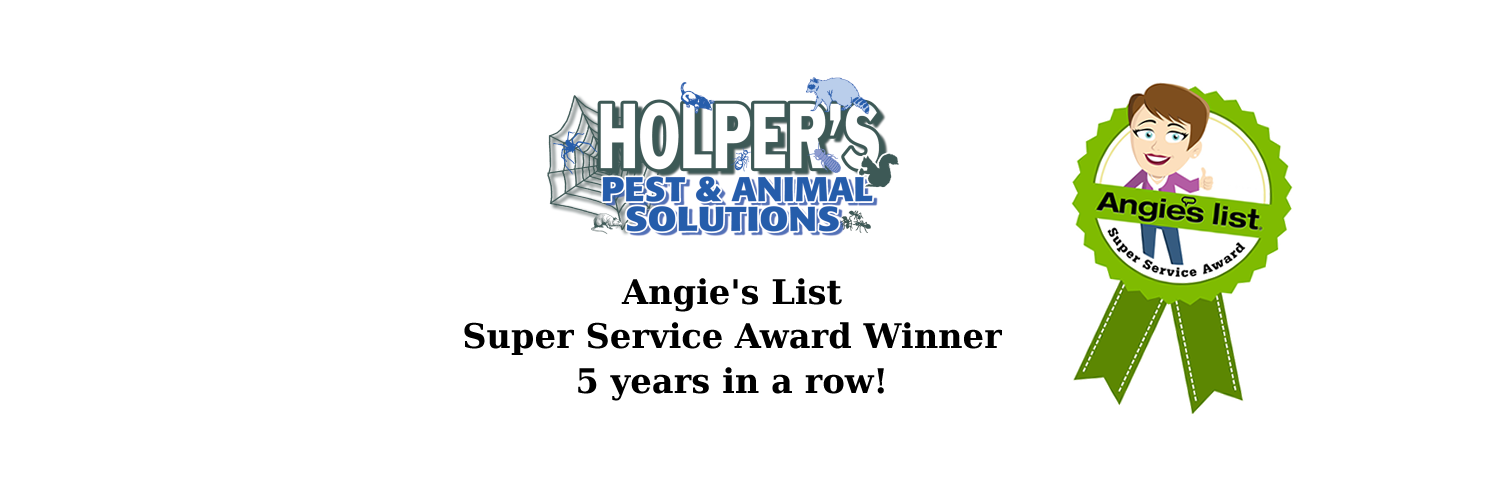HolpersPest's profile banner image