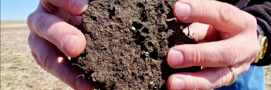 soilsocial banner