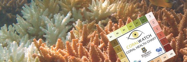 Coral_Watch Profile Banner