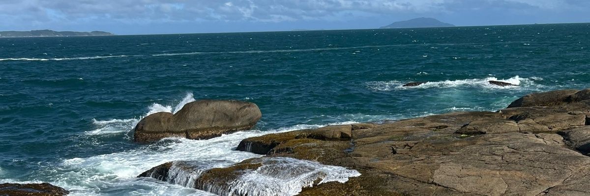 NaayCoronel99's profile banner image