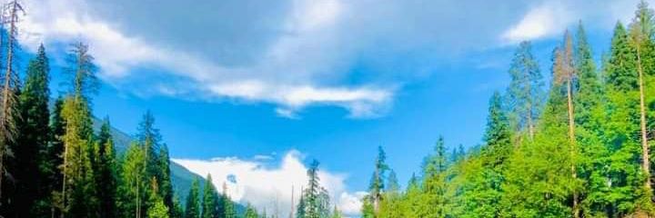 AdeesAltaf's profile banner image