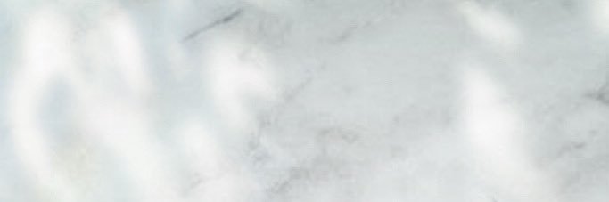 まめちゃん banner