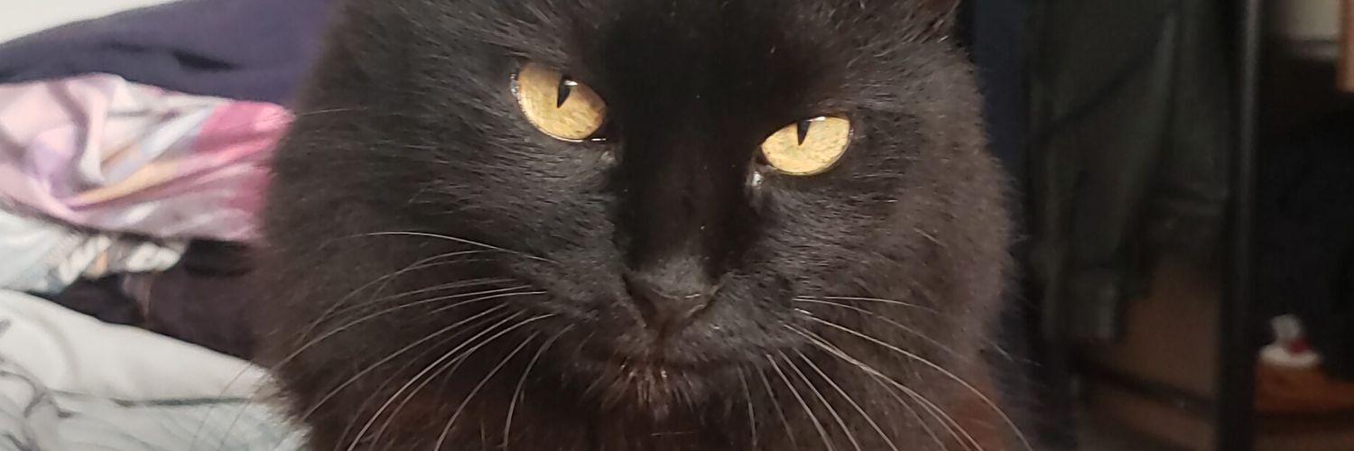 vininj's profile banner image