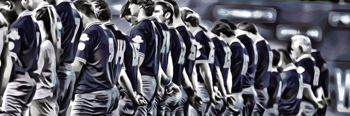 Nuts Baseball banner