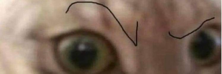 eduard0000's profile banner image