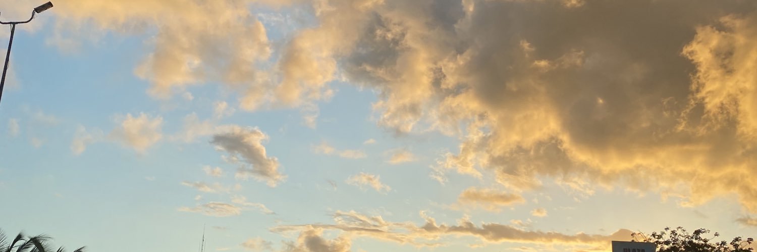 vizzoFL's profile banner image