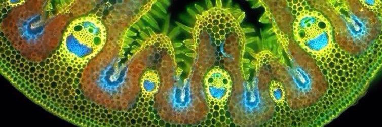 bjork24's profile banner image