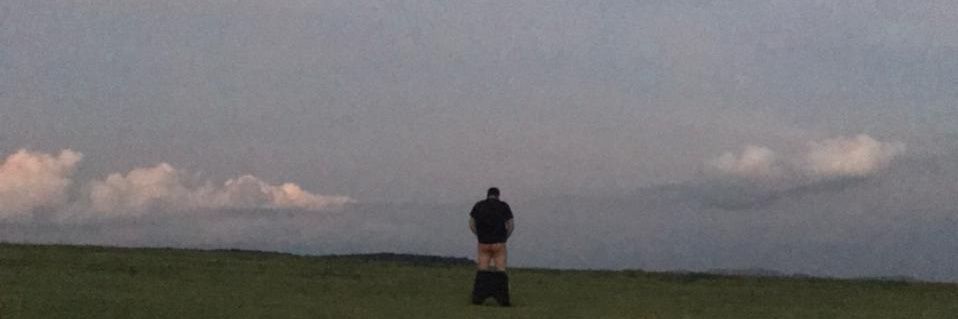 gordo banner