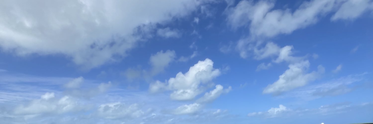 web diva vitør banner