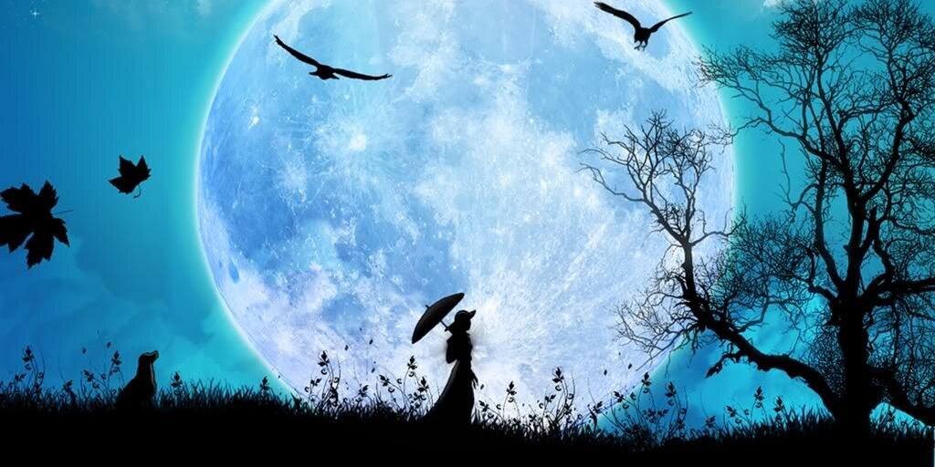 majocacha's profile banner image