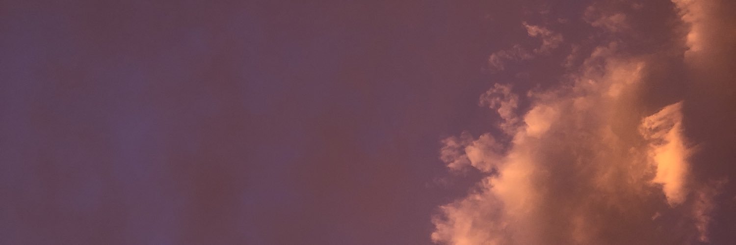 karlabonson's profile banner image