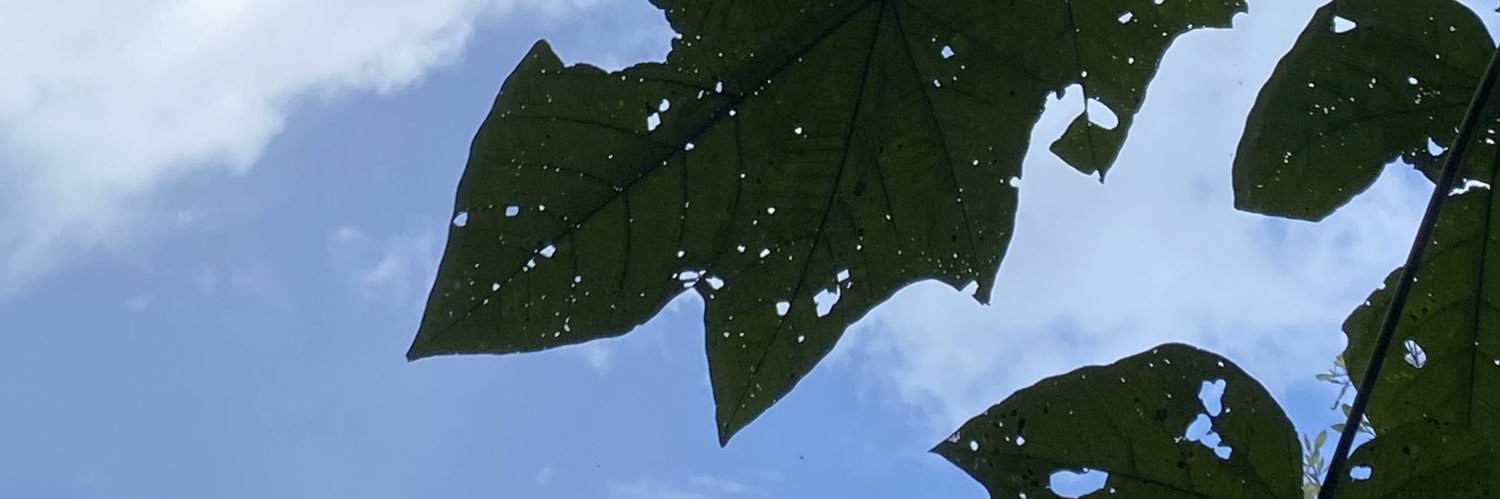 XimeMelC's profile banner image