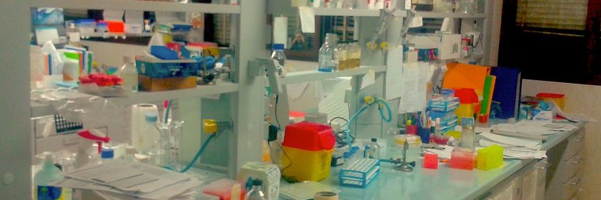 Alvisilab's banner