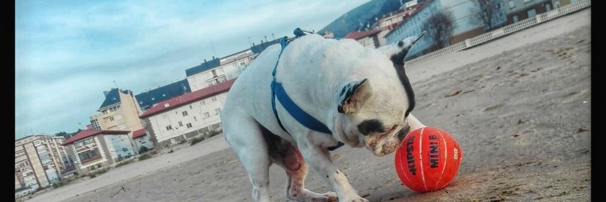 GabrielaADINA's profile banner image