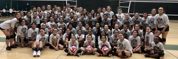 KHS Mustang Volleyball banner