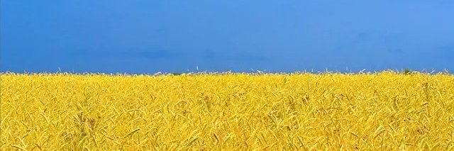 Vasyl Liutikov banner