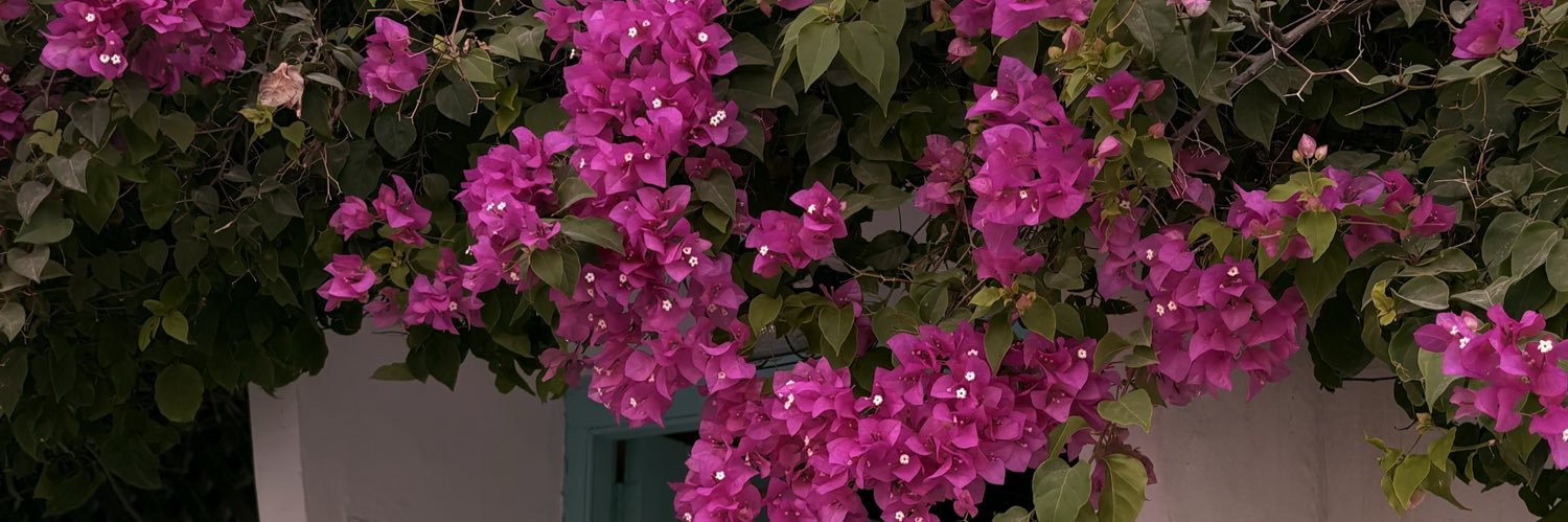 rajaafar_'s profile banner image