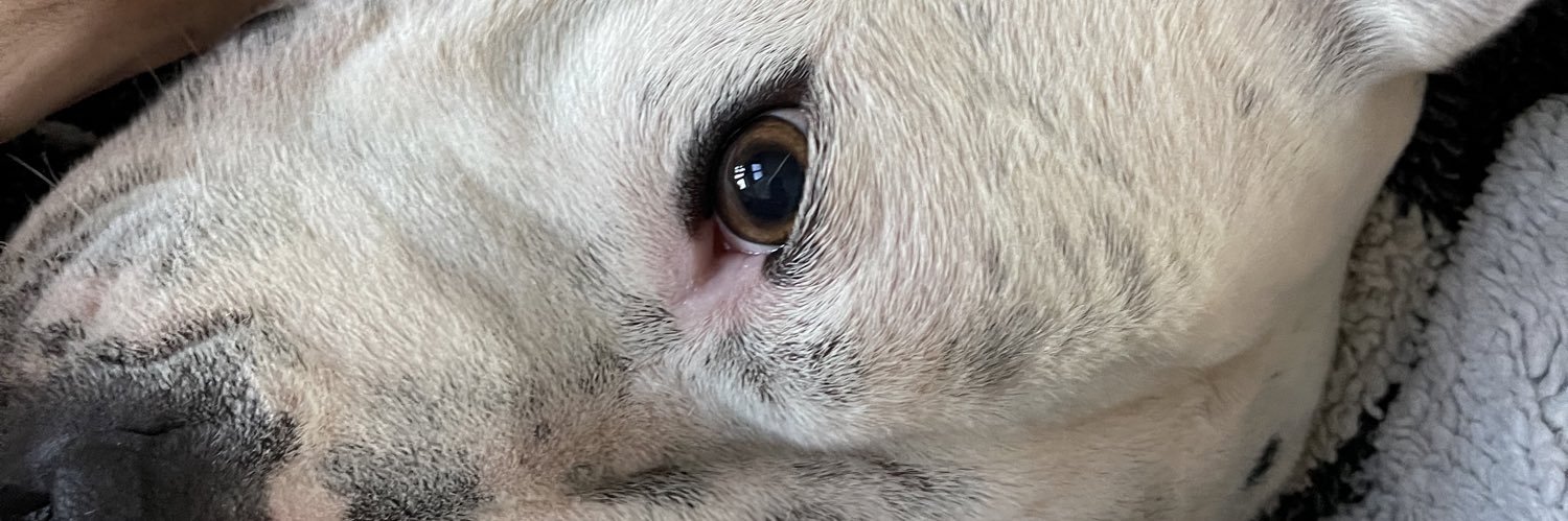 Nathan Fletcher banner