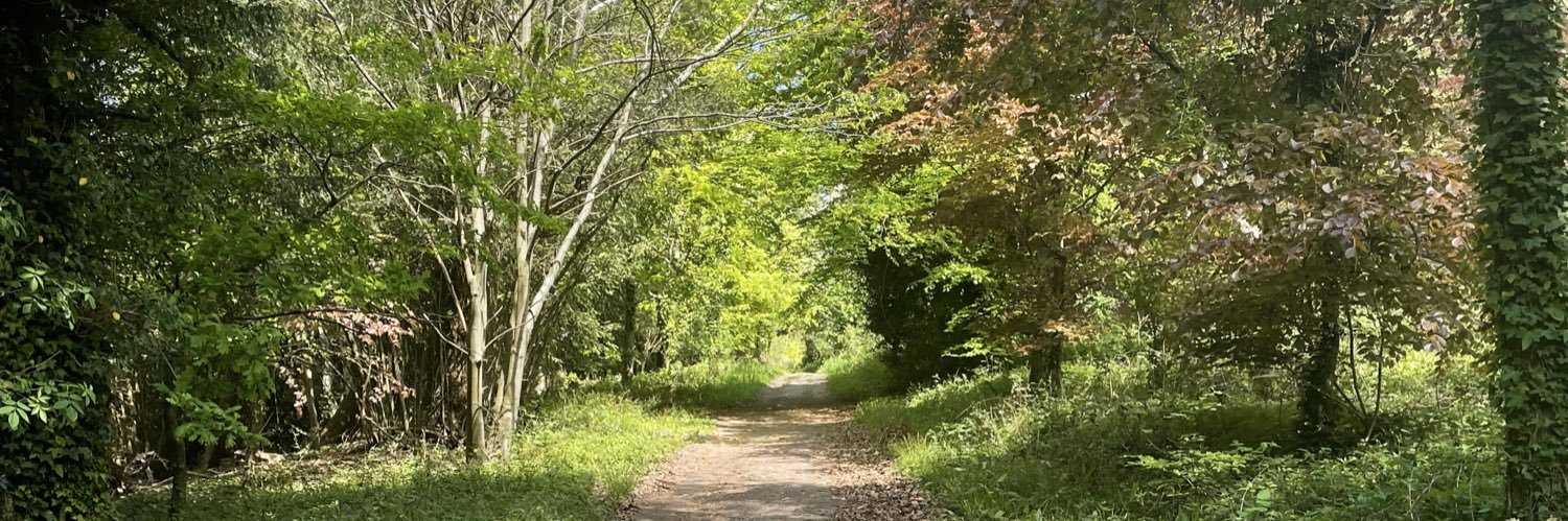 🏴󠁧󠁢󠁷󠁬󠁳󠁿Stephanie James🏴󠁧󠁢󠁷󠁬󠁳󠁿 banner