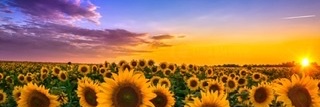 CiaraFallon17's profile banner image