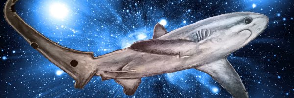 Karlossos1 Profile Banner