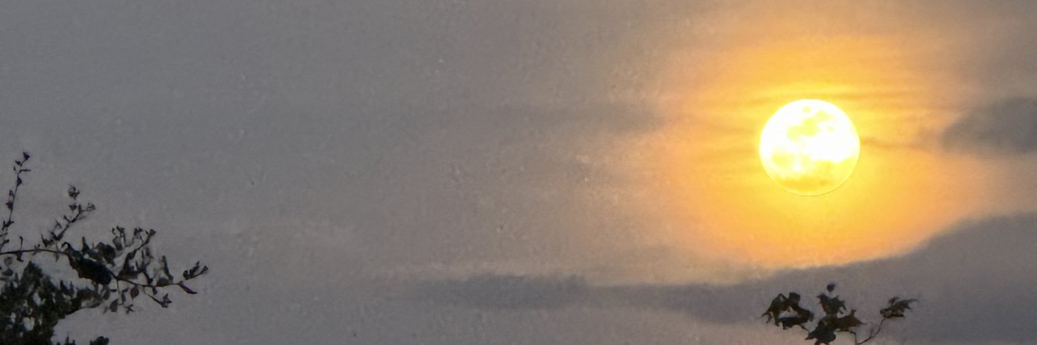 GenaRyan03's profile banner image