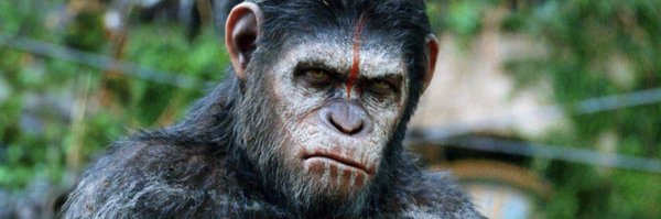 illustriousCeo Profile Banner