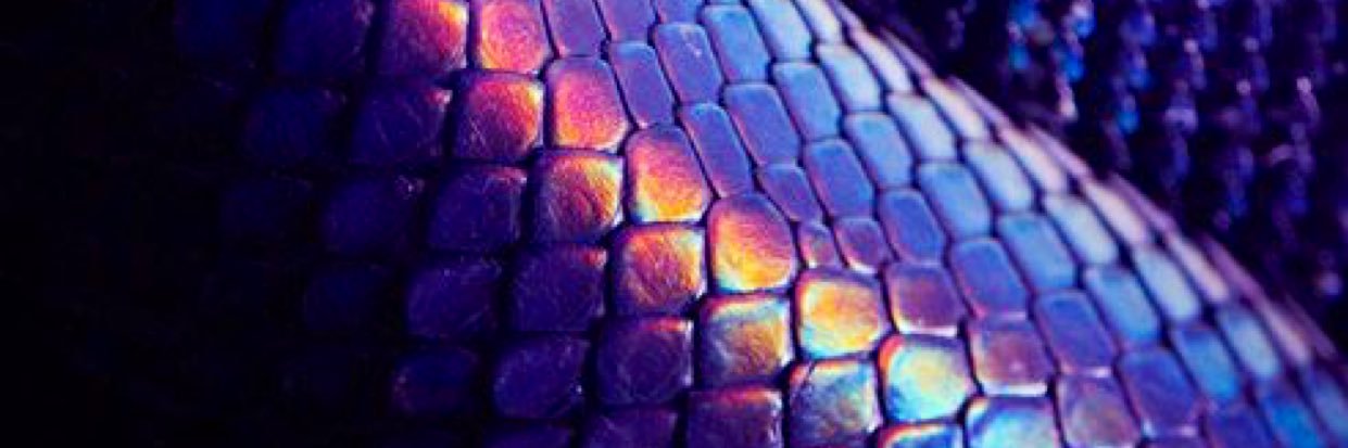 burcin_kadioglu's profile banner image
